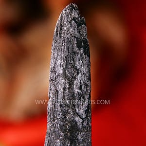 pusaka tombak kyai pleret